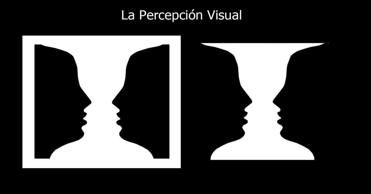 Diferencia entre sensación y percepción