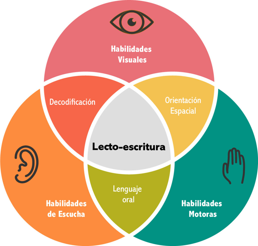 Esquema lecto-escritura