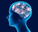 Plasticidad cerebral y terapia visual