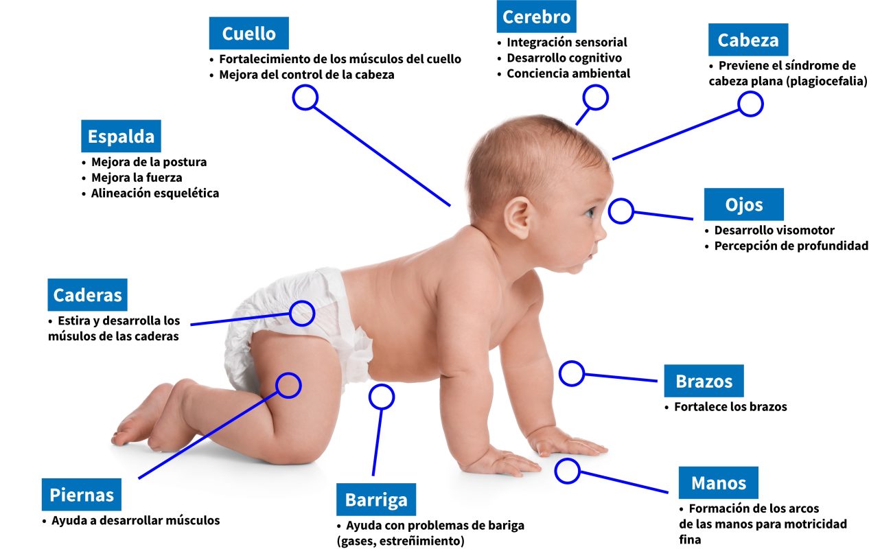 Gatear y Visión